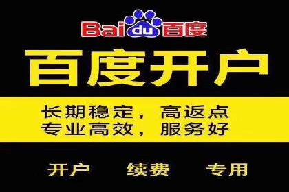SEM优化师成功案例：助力企业实现品牌升级